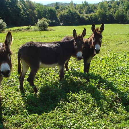 L'Oree Des Bois Dommartin-Les-Cuiseaux Exterior foto